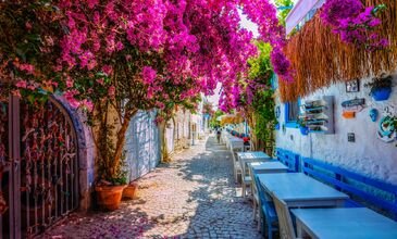 URLA - ÇEŞME –ALAÇATI -SIĞACIK TURU
