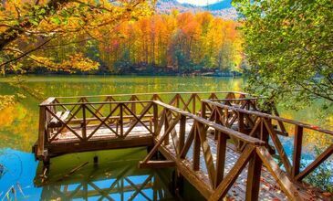 ABANT & YEDİGÖLLER & GÖLCÜK&ORMANYA&MAŞUKİYE&BURSA TURU