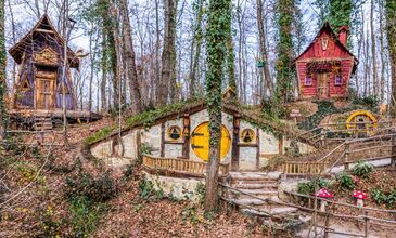 ABANT & YEDİGÖLLER & GÖLCÜK&ORMANYA&MAŞUKİYE&BURSA TURU