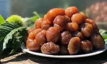 TRİLYE- MUDANYA-CUMALI KIZIK– BURSA-GÖLYAZI TURU