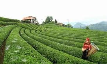 BOYDAN BOYA BATI-DOĞU KARADENİZ &BATUM TURU