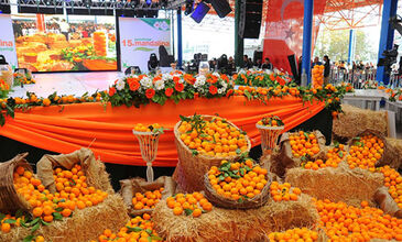 SEFERHİSAR MANDALİNA FESTİVALİ TURU