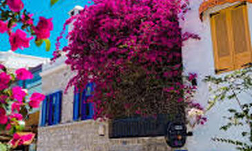 29 MART 2026 BODRUM ACI OT FESTİVALİ & SÖKE NOVADA  OUTTLET AWM  TURU