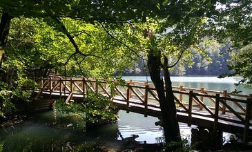 27-29 MAYIS 2026 ABANT & YEDİGÖLLER & GÖLCÜK&ORMANYA&MAŞUKİYE&BURSA TURU