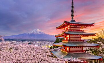04-16 NİSAN 2027 SAKURA ZAMANI JAPONYA-GÜNEY KORE TURU
